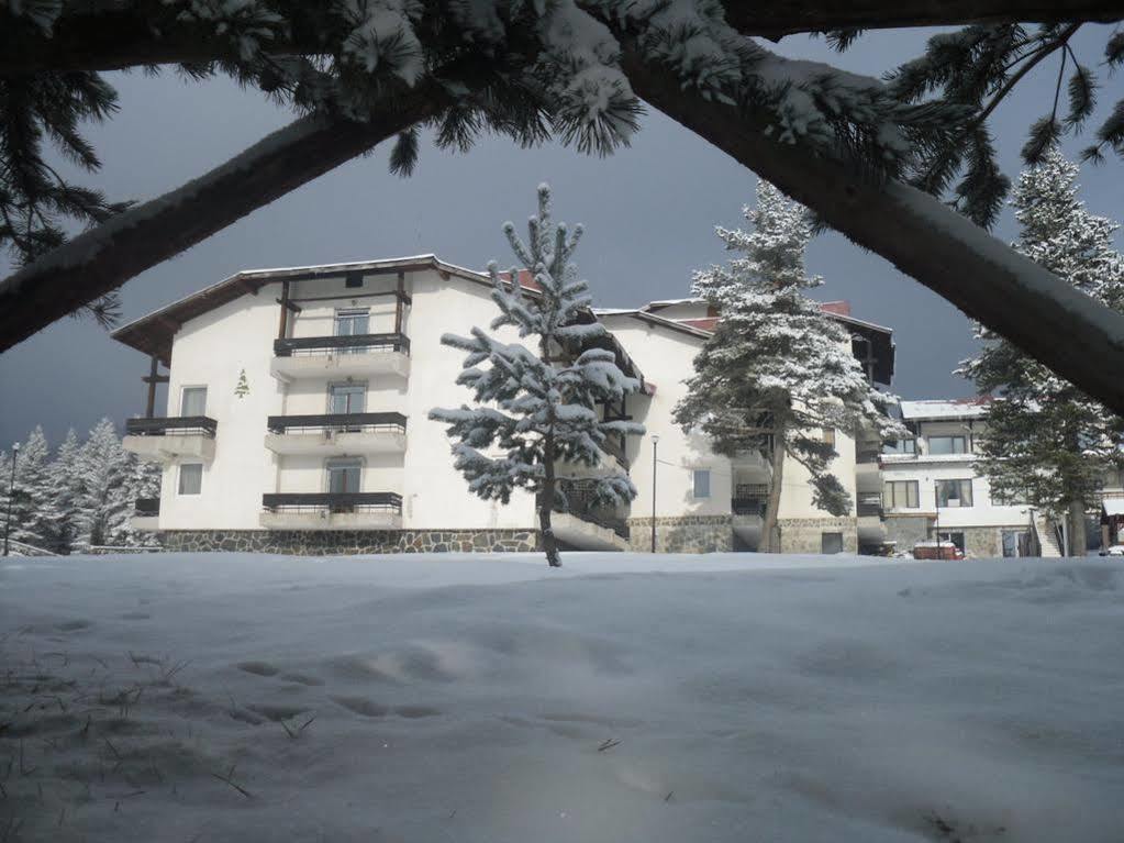 Bor Hotel Belitsa  Exterior foto
