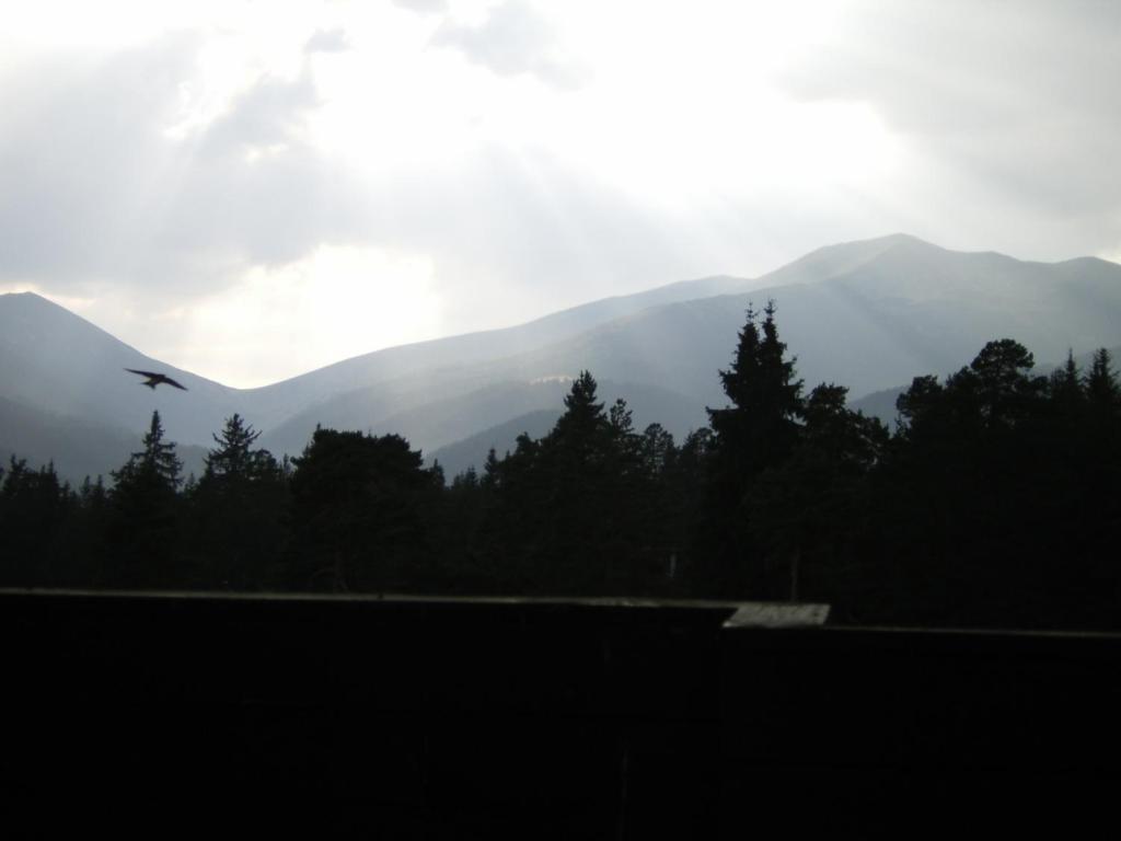 Bor Hotel Belitsa  Zimmer foto
